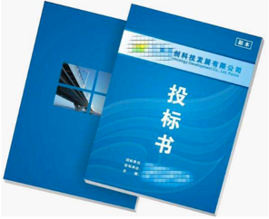 項(xiàng)目標(biāo)書翻譯-尚語翻譯 項(xiàng)目標(biāo)書翻譯-尚語翻譯